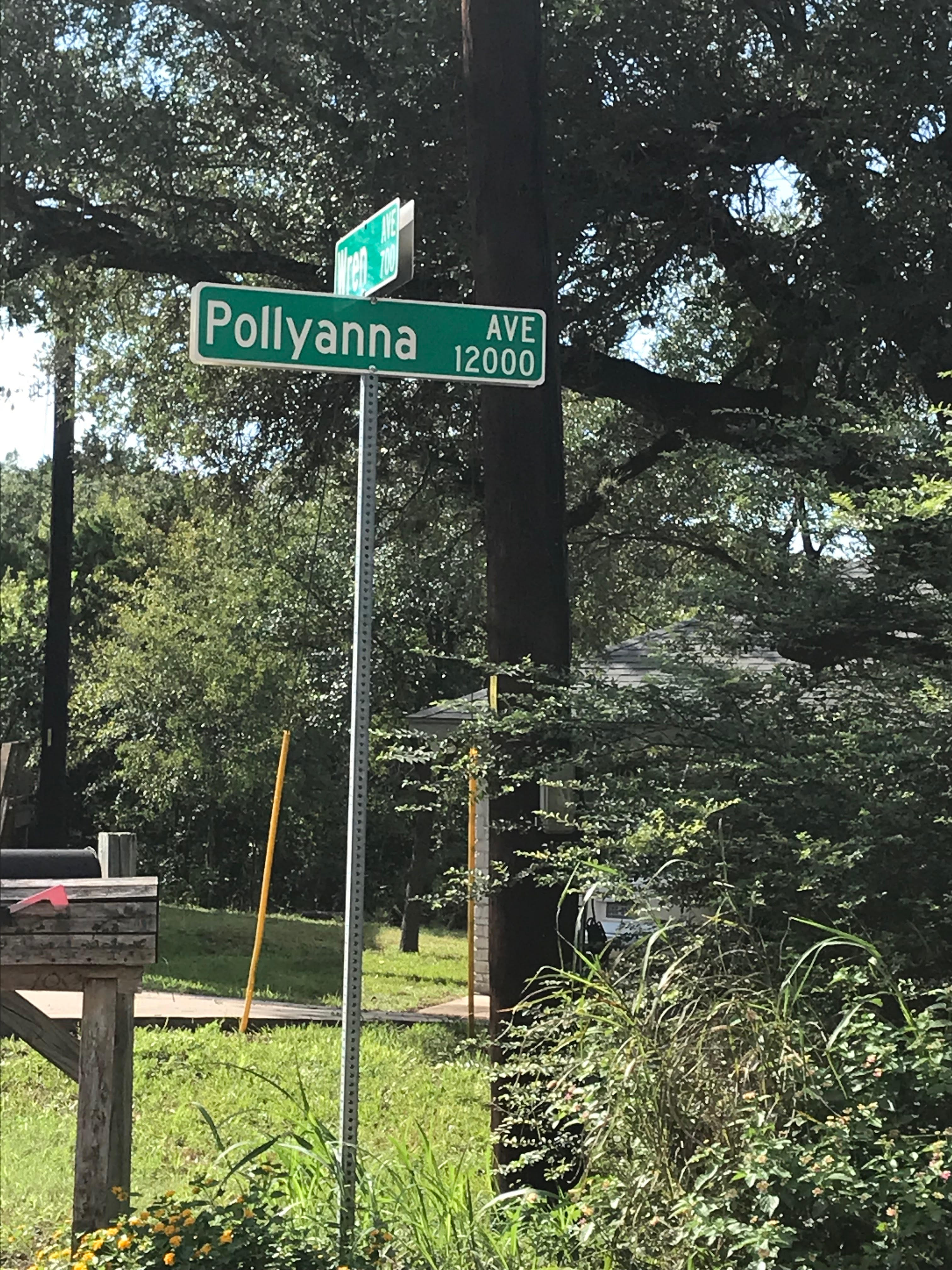 Polyanna Avenue